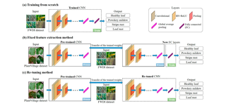 Evaluation of Diverse Convolutional Neural Networks and Training Strategies for Wheat Leaf Disease Identification with Field-Acquired Photographs thumbnail