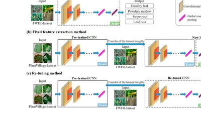 Evaluation of Diverse Convolutional Neural Networks and Training Strategies for Wheat Leaf Disease Identification with Field-Acquired Photographs featured image